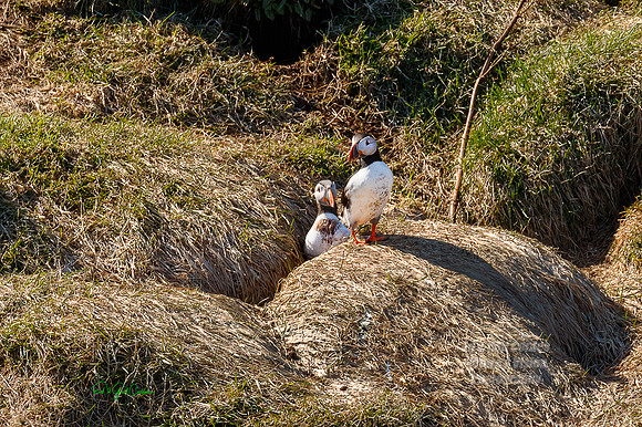 7D2E 2022-05-06-1571-Edit
