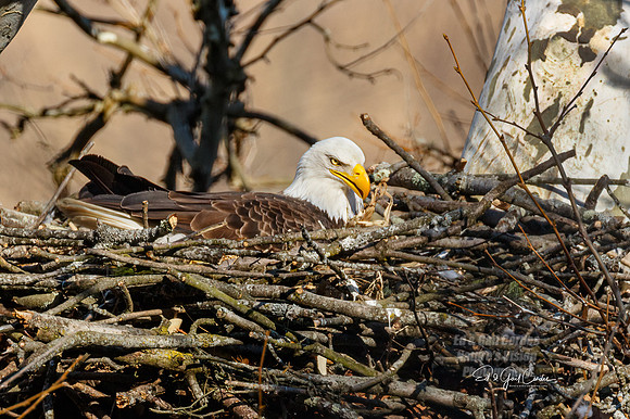 7D2E 2022-03-06-0899-Edit