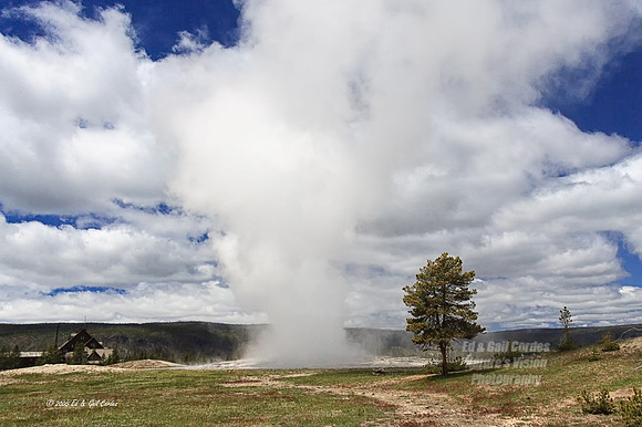 Yellowstone 2005-2016