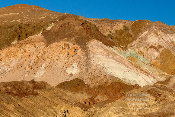 7D2E 2022-01-29-0093-Edit