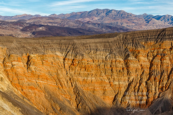 7D2E 2022-01-29-0259-Edit