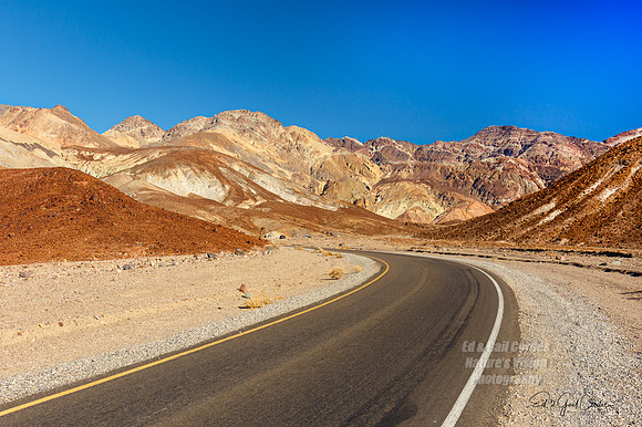 7D2E 2022-01-29-0080-Edit