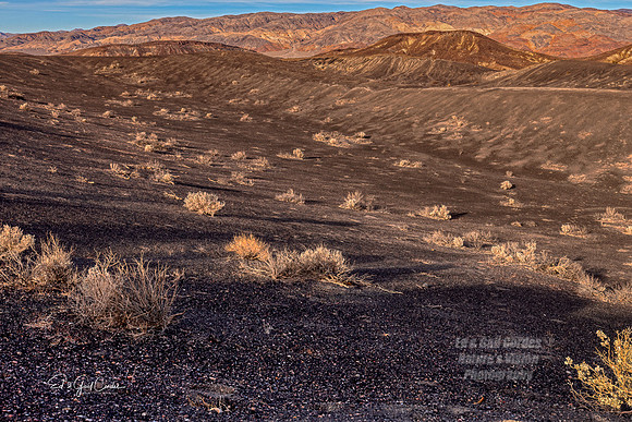 R5 2022-01-29-0605-Edit