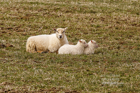 5D4 2022-05-11-3599-Edit