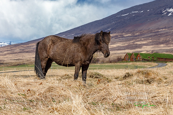 5D4 2022-05-09-3546-Edit