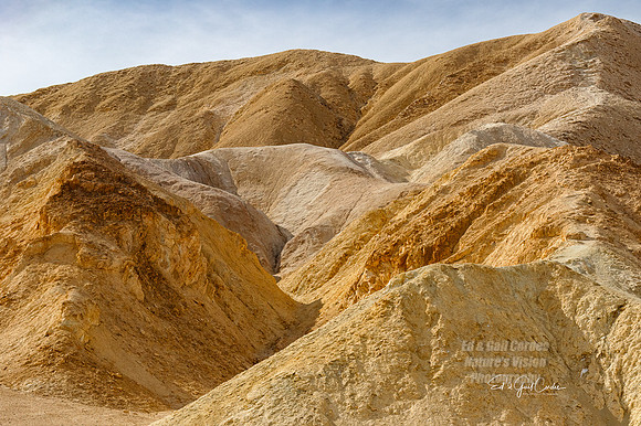7D2E 2022-01-29-0315-Edit