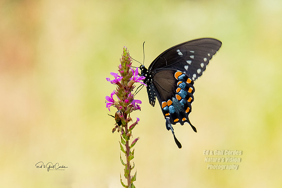 R7 2022-08-04-0149-Edit