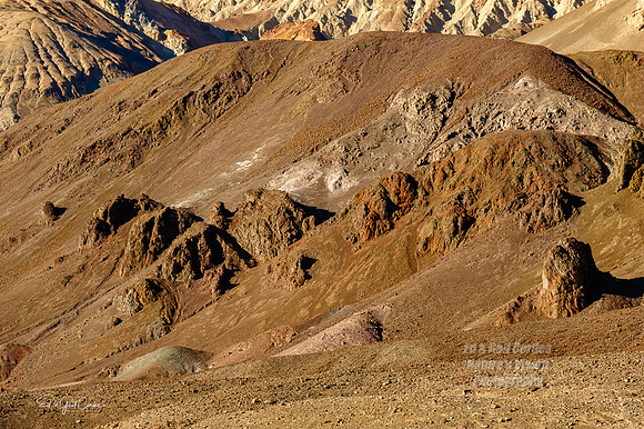 7D2E 2022-01-29-0095-Edit