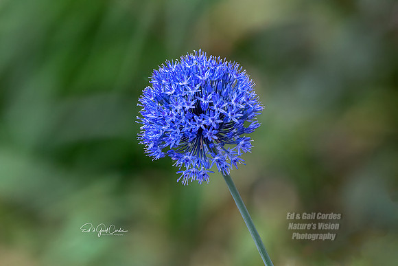 R5 2024-06-12-9814-Edit