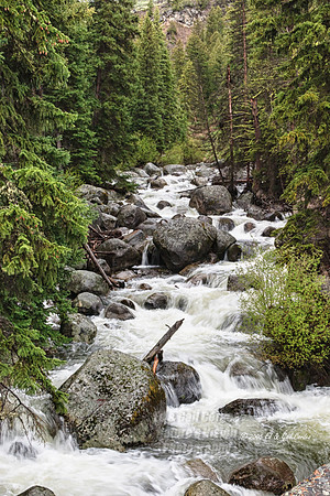 Yellowstone 2005-9407A
