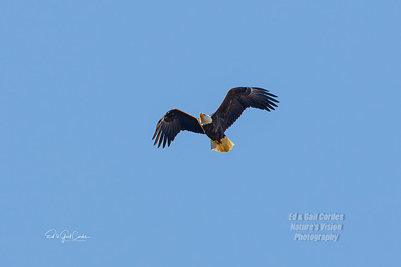 7D2E 2022-03-06-0860-Edit
