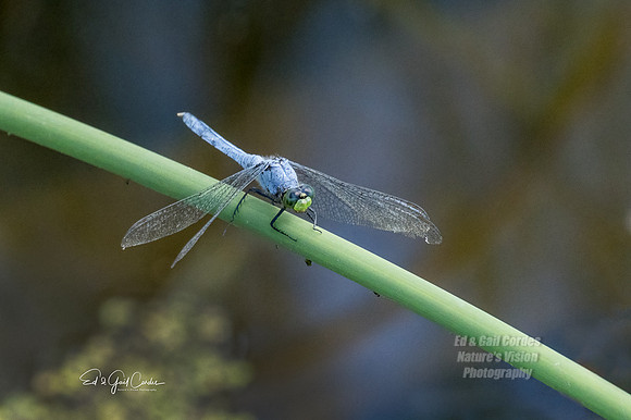 R7 2022-08-04-0313-Edit