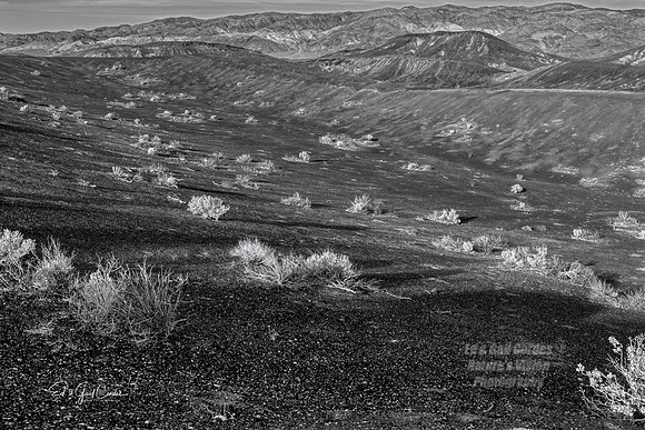 R5 2022-01-29-0605-Edit B&W