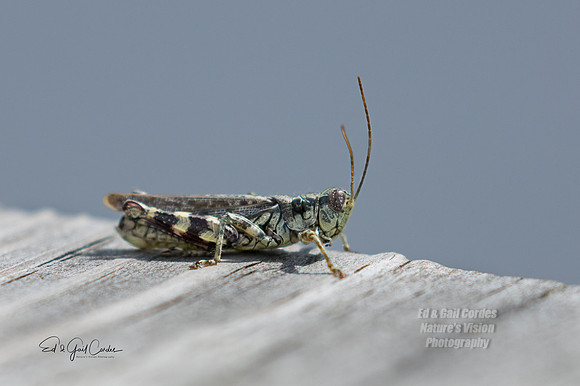 R7 2022-08-04-0293-Edit