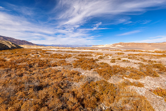 R5 2022-01-29-0619-Edit