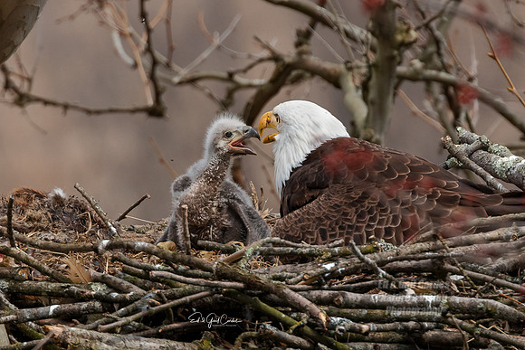 R5 2022-04-13-1853-Edit