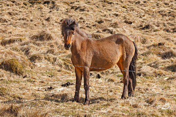5D4 2022-05-09-3534-Edit