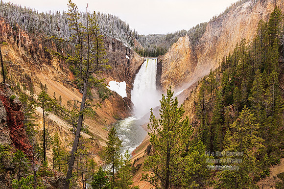 Yellowstone 2005-1203A