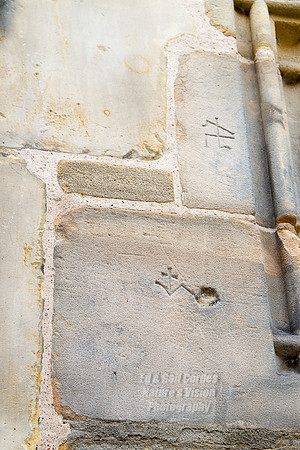 7D 2013-09-22-2816