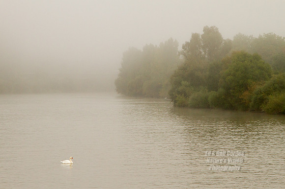 7D 2013-09-24-3081