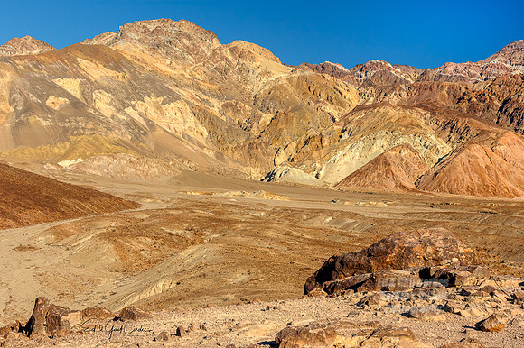 7D2E 2022-01-29-0085-Edit