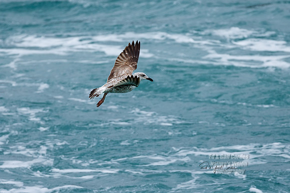 5D4 2022-05-05-3310-Edit