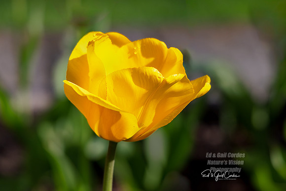 R5 2024-04-30-9507-Edit