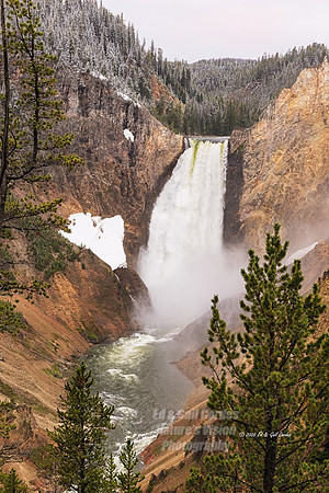 Yellowstone 2005-1206A