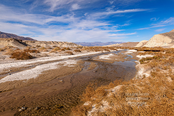 R5 2022-01-29-0617-Edit