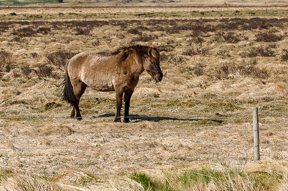 5D4 2022-05-12-3641-Edit