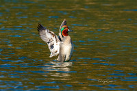 7D2E 2022-02-21-0678-Edit