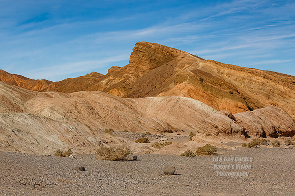 7D2E 2022-01-29-0208-Edit