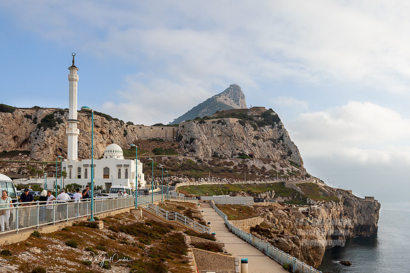 R5 2024-08-12-2342-Edit
