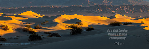 R5 2022-01-29-0560-Edit