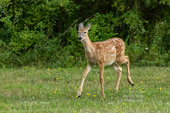 R7 2022-08-18-0502-Edit