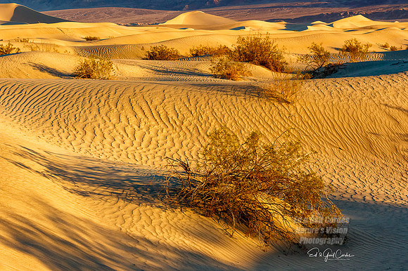 7D2E 2022-01-29-0162-Edit