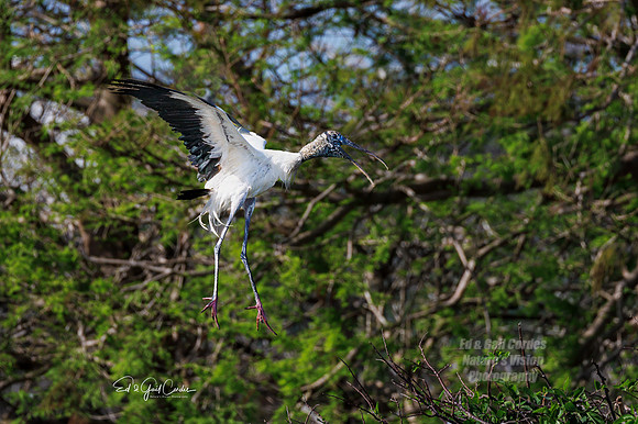 R7 2024-03-17-4940-Edit