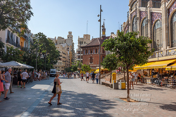 R5 2024-08-12-2603-Edit