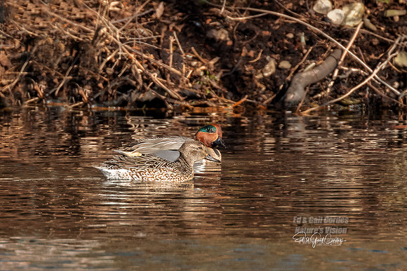 R5 2022-02-21-0739-Edit