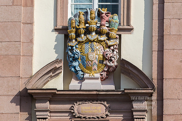 1D4 2013-09-26-6664