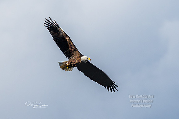 7D2E 2022-03-06-0914-Edit
