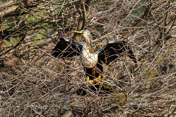 R7 2024-03-17-5068-Edit