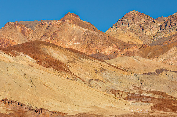 7D2E 2022-01-29-0079-Edit