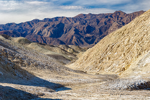 7D2E 2022-01-29-0294-Edit