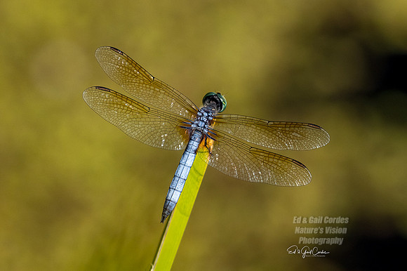 R7 2022-08-04-0319-Edit