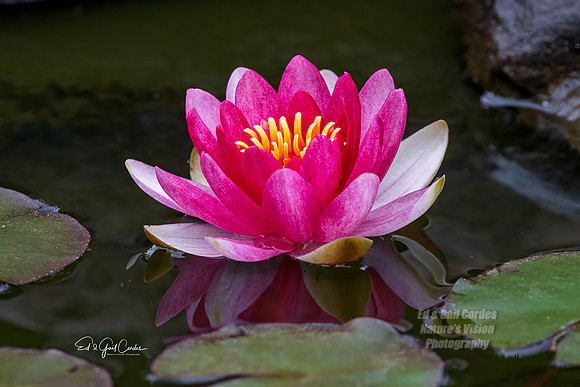 R5 2024-06-12-9806-Edit