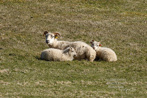 7D2E 2022-05-06-1460-Edit
