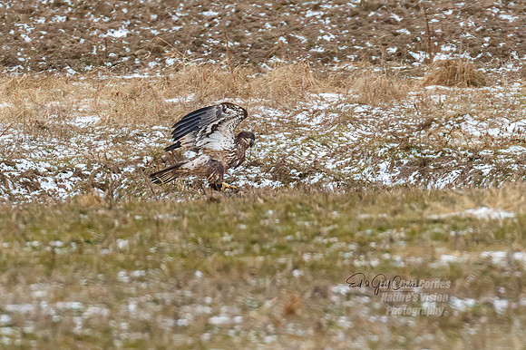 7D2E 2022-01-12-9823-Edit