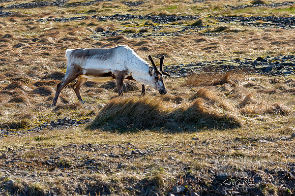 7D2E 2022-05-06-1456-Edit