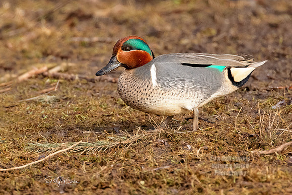 R5 2022-03-06-1304-Edit
